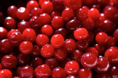 A lot of fresh red cherry berries in a bowl.
