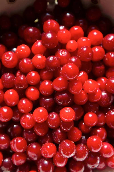 Lot Fresh Red Cherry Berries Bowl — 스톡 사진