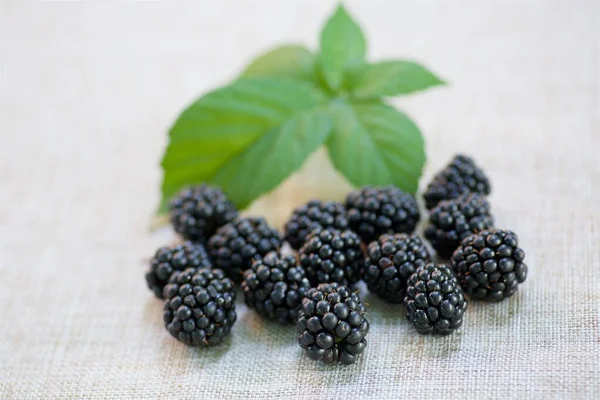 Ripe Juicy Blackberries Dishes Table — Stock fotografie