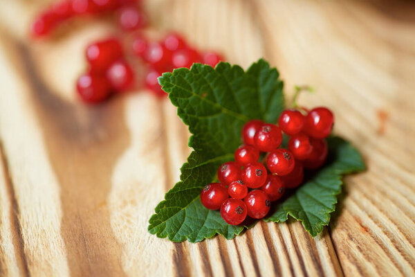 The berries of the red currant and its leaf lying on the wooden surface of the table. Fruits and berries of the summer season. 
