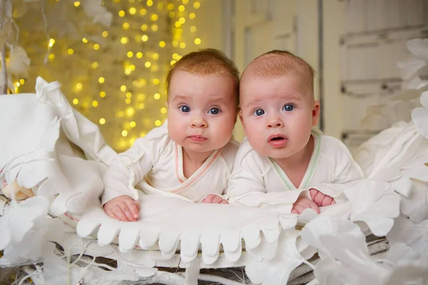 Two Little Newborn Baby Boy Girl Lying White Clothes Bright — Zdjęcie stockowe