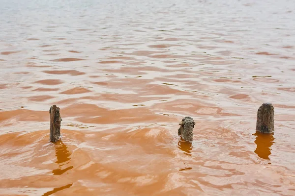 Das Einzigartige Wasser Des Sees Ist Rosa Gefärbt Ein Seltenes — Stockfoto