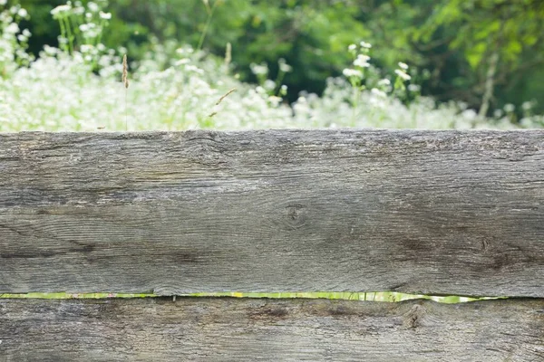 Arka Planda Çiçekler Yeşillik Olan Eski Bir Ahşap Çit Eski — Stok fotoğraf