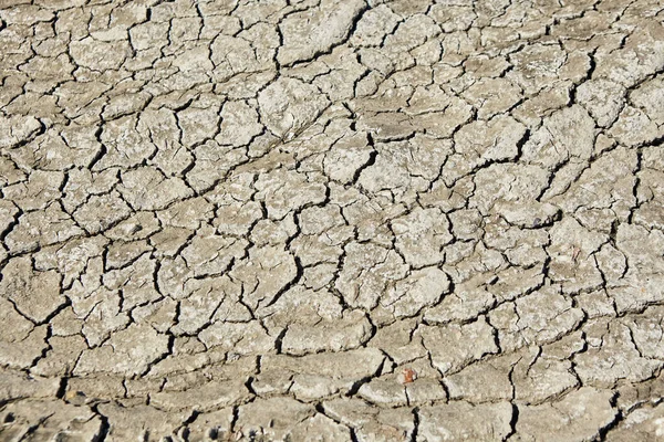 Trockene Und Rissige Erde Von Grauer Farbe — Stockfoto