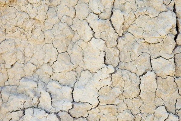 Trockene Und Rissige Erde Von Grauer Farbe — Stockfoto