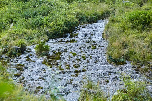 Gebirgswasserfall Wald Ein Großer Lärmender Wasserstrom Eine Wilde Natürliche Quelle — Stockfoto