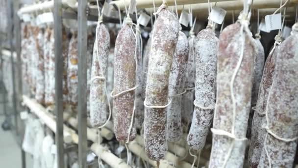 Des Saucisses Suspendues Réfrigérateur Usine Transformation Viande Stockage Nourriture Production — Video