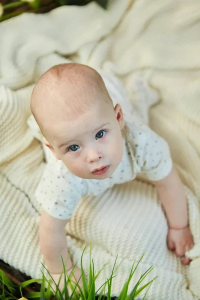 Piccolo Bambino Carino Sdraiato Una Morbida Coperta Mucchio Tulipani Gialli — Foto Stock