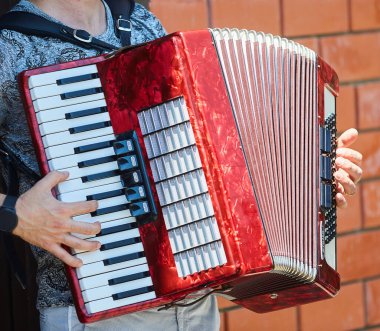 Erkek bir müzisyenin elindeki müzik aleti akordeonu. Kültür ve sanat kavramı.