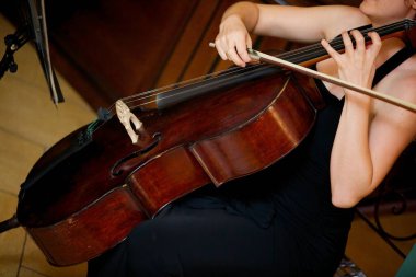 Bir kadın müzisyenin elinde telli müzik aleti zamazingosu. Kültür ve sanat kavramı.
