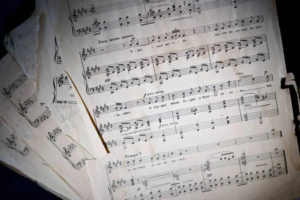 Noten Für Einen Musiker Das Konzept Von Kultur Und Kunst — Stockfoto