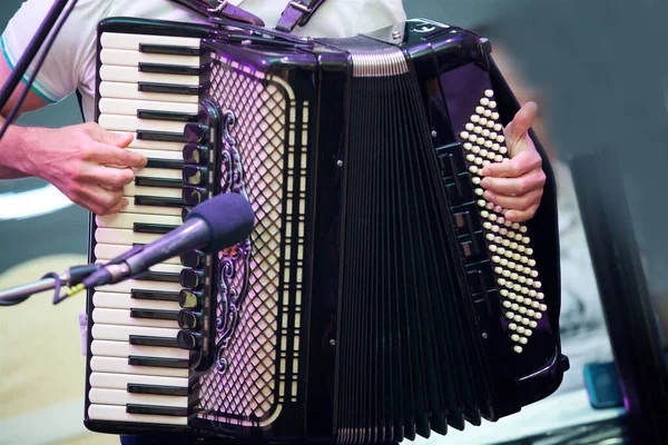 Erkek bir müzisyenin elindeki müzik aleti akordeonu. Kültür ve sanat kavramı.