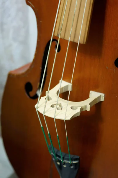 Stringed Music Instrument Double Bass Close Koncept Kultury Umění — Stock fotografie