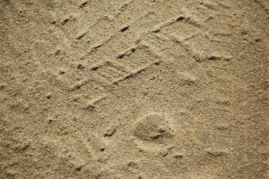 Doğal deniz ya da nehir kumunun dokusu bir rezervuarın kıyısından.