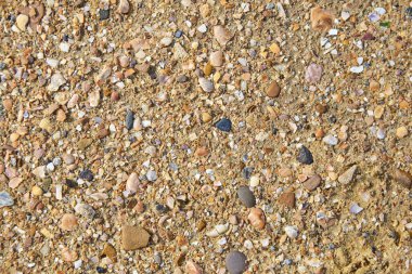 Doğal deniz ya da nehir kumunun dokusu bir rezervuarın kıyısından.