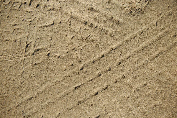 Doğal deniz ya da nehir kumunun dokusu bir rezervuarın kıyısından.