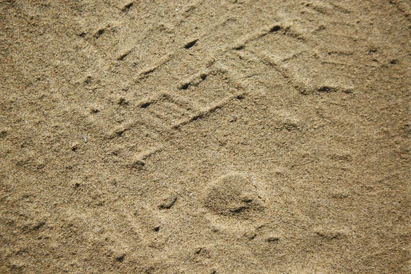 Doğal deniz ya da nehir kumunun dokusu bir rezervuarın kıyısından.