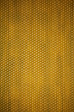 Arı, düzenli altıgen yapıya sahip bal peteği miydi?. 