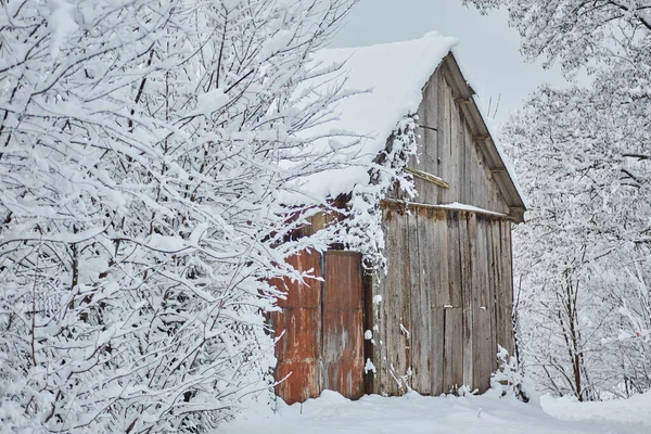 Venkovský Dřevěný Dům Vesnici Zima Sníh — Stock fotografie