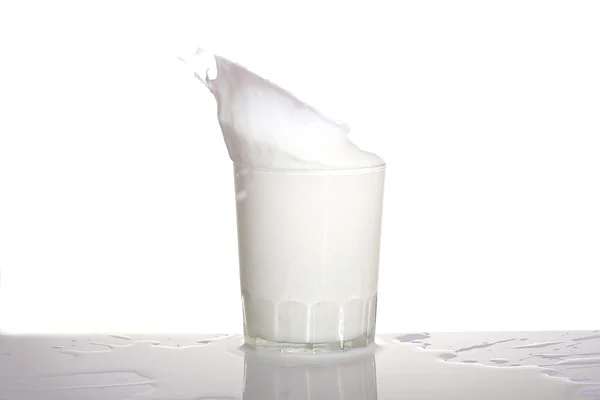 Splash mjölk — Stockfoto