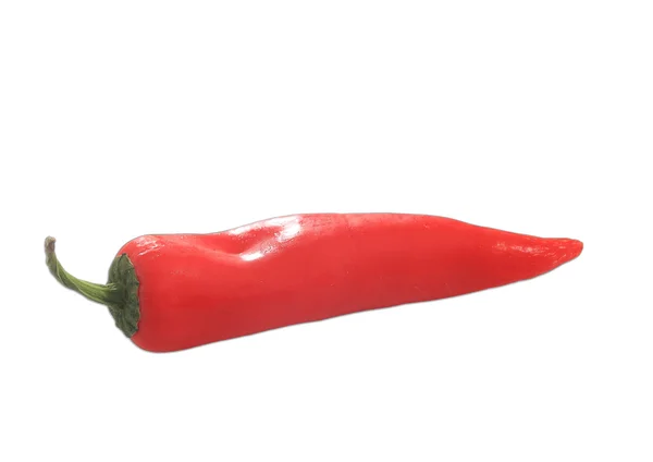 Roter Paprika — Stockfoto