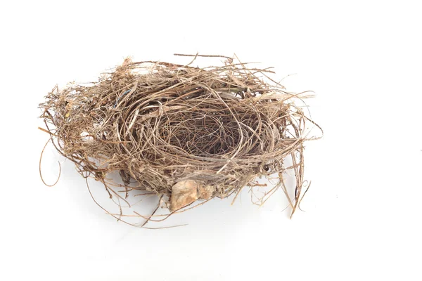 Huevo de nido — Foto de Stock