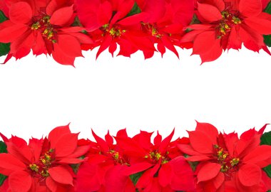 Noel çerçevelemek--dan kırmızı poinsettias