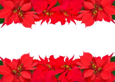Christmas frame from red poinsettias clipart