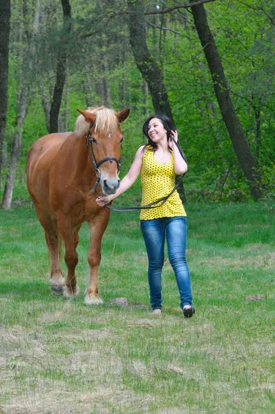 Молодая женщина, заботящаяся о своей лошади — стоковое фото