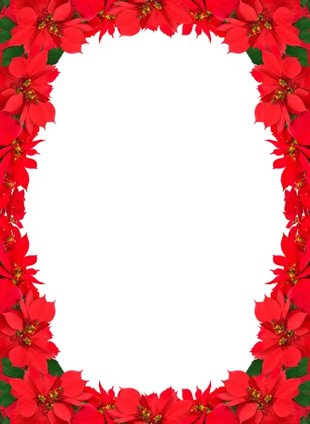 Kerstmis frame van rode Poinsettia — Stockfoto