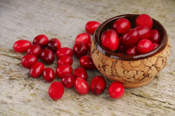 Cranberries na tigela — Fotografia de Stock