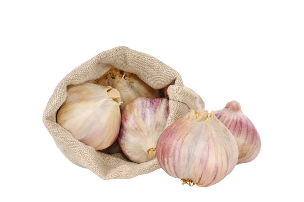 Garlic in bag — Stock Photo, Image