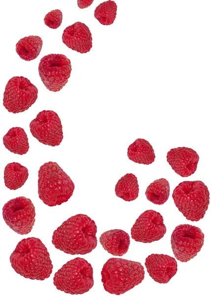 Viele rote Himbeeren — Stockfoto