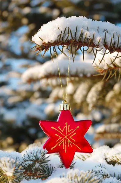 Stella rossa decorazione di Natale — Foto Stock