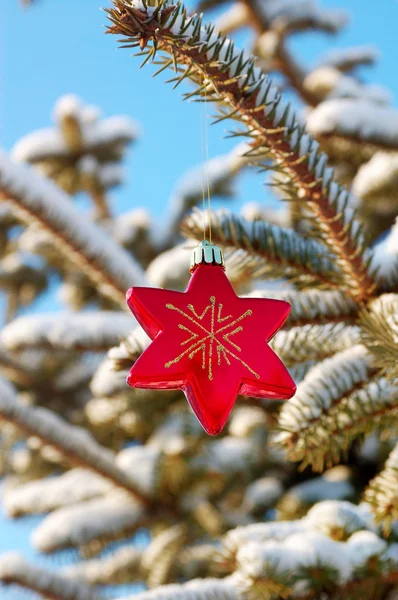 Kırmızı yıldız Noel süslemesi — Stok fotoğraf