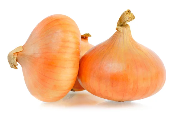 Ripe onions — Stock Photo, Image