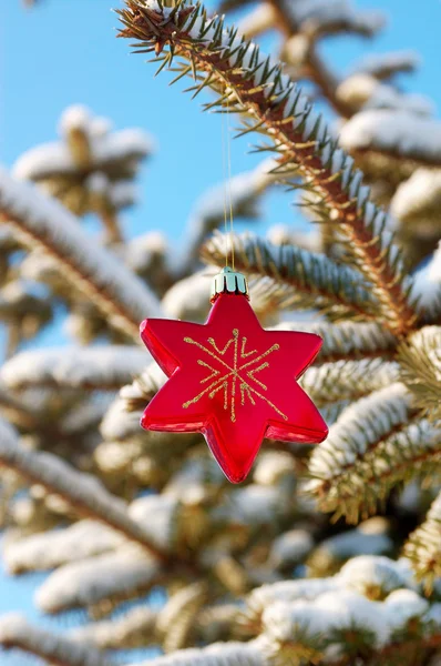 Estrela vermelha decoração de Natal Fotografias De Stock Royalty-Free