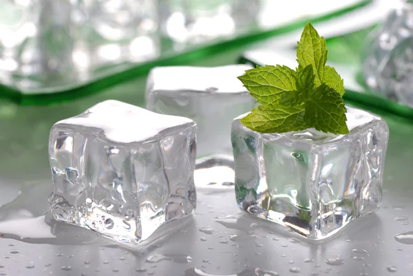 Ice and mint — Stock Photo, Image