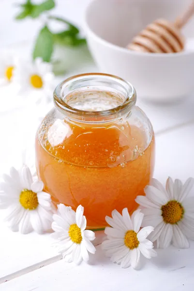 Honig und Gänseblümchen — Stockfoto