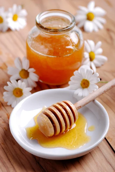 蜂蜜とデイジー — ストック写真