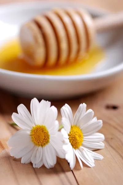 Μέλι και μαργαρίτες — Φωτογραφία Αρχείου