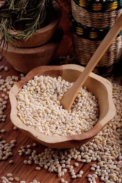 Pearl barley — Stock Photo, Image