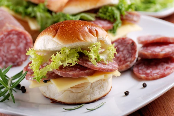 Sandwich met salami — Stockfoto