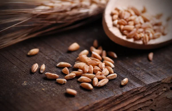 Grains of wheat — Stock Photo, Image