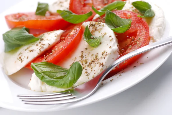 Salada com mussarela e tomate — Fotografia de Stock