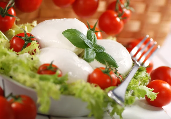 Italienischer Mozzarella-Käse — Stockfoto