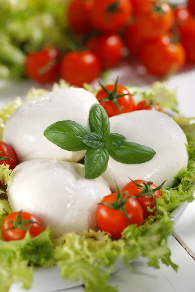 Italienischer Mozzarella-Käse — Stockfoto