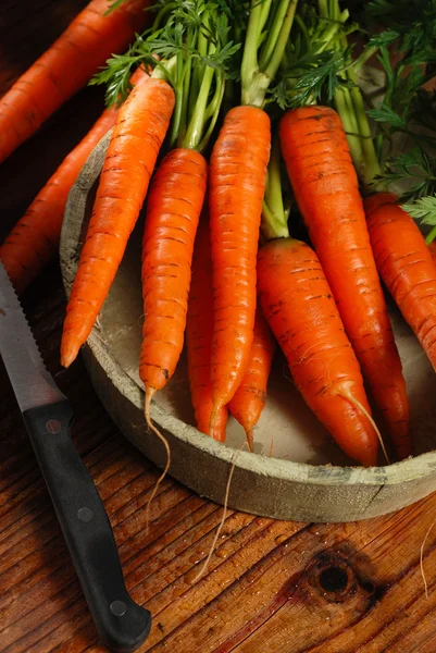 Bund frische Möhren — Stockfoto