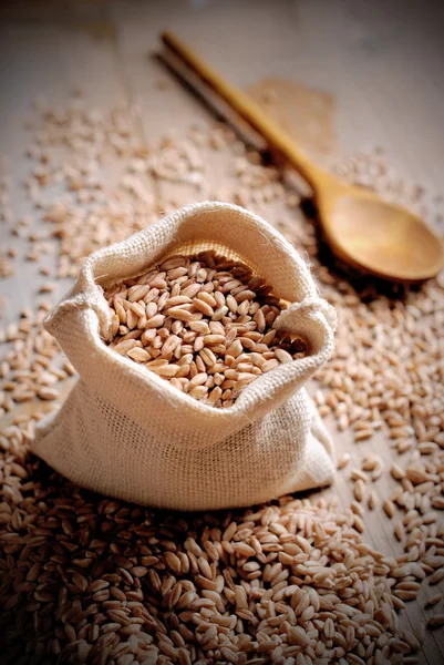 Spelled seeds in the bag — Stock Photo, Image