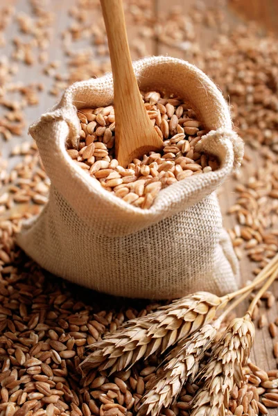 Spelled seeds in the bag — Stock Photo, Image